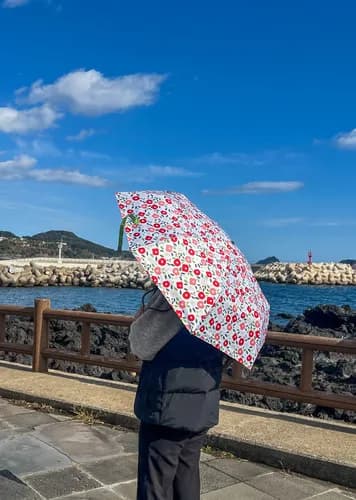 동백꽃 3단 접이식 양우산